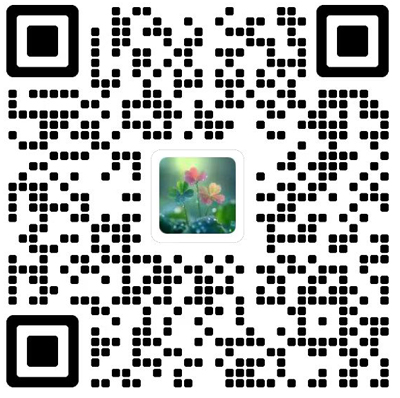 Nuclear Science and Techniques杂志模板